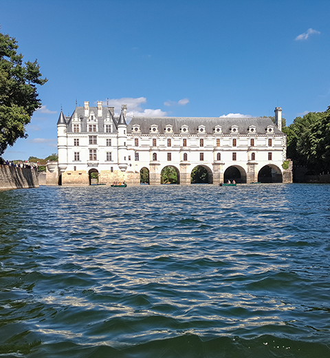 book a private tour with a private chauffeur to the loire valley castles. limo service S class mercedes.