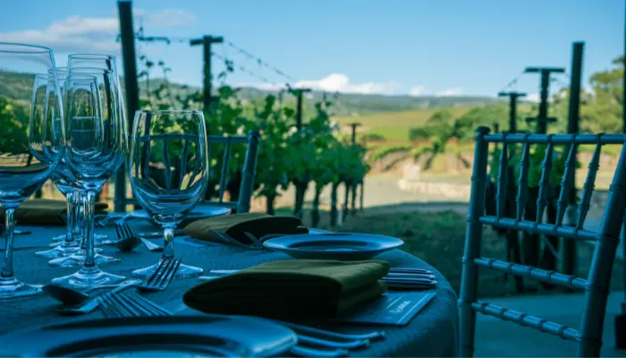 champagne region day tour reims epernay private chauffeur service rental limousine s class v class e class mercedes rental private tasting.